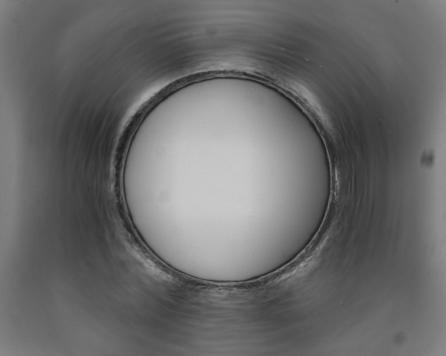 X0000093240780200709261529