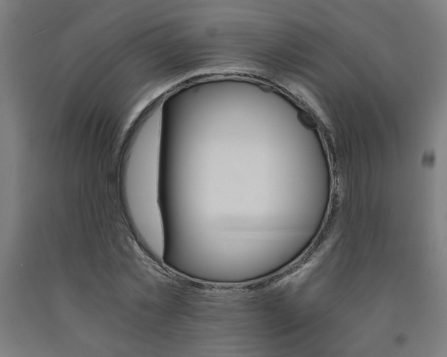 X0000093240781200709261529