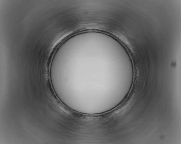 X0000093240782200709261529