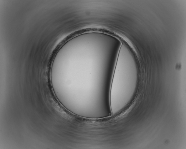 X0000093240783200709261529