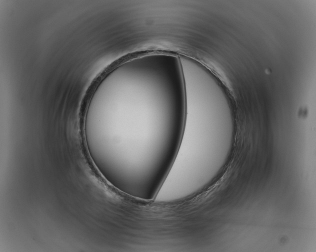 X0000093240784200709261529