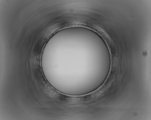 X0000093240785200709261529
