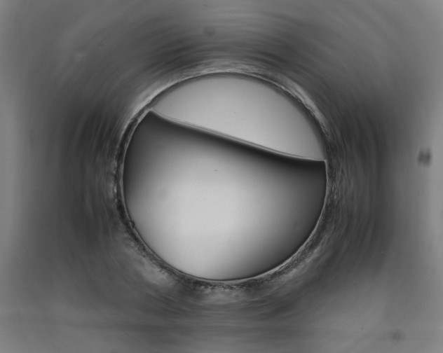 X0000093240786200709261529