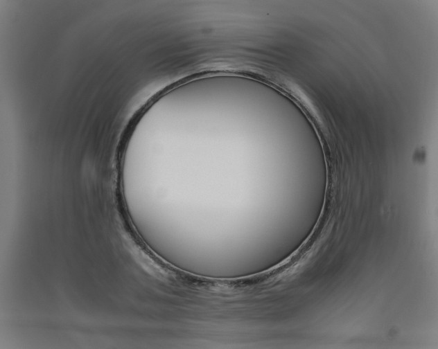 X0000093240787200709261529