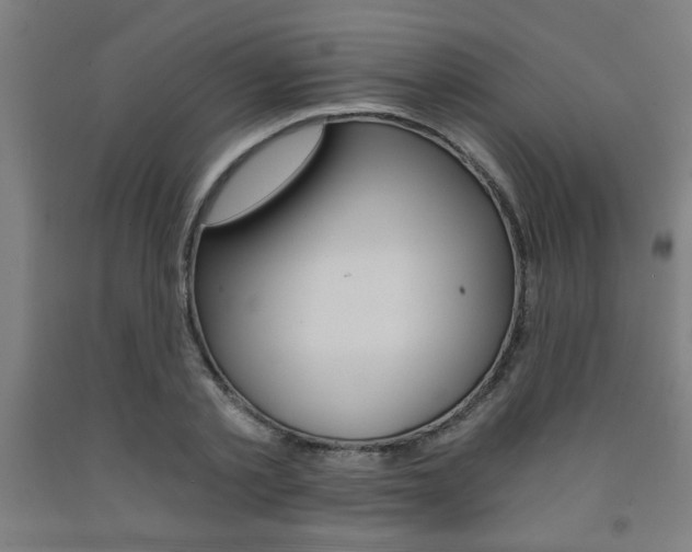 X0000093240789200709261529