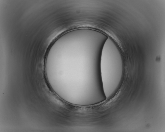 X0000093240790200709261529