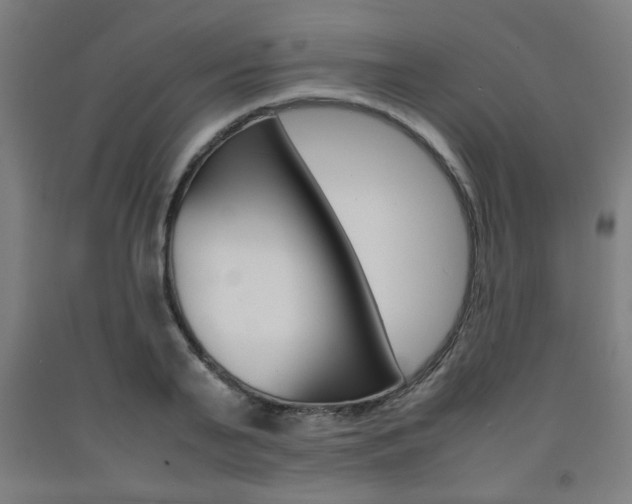 X0000093240791200709261529