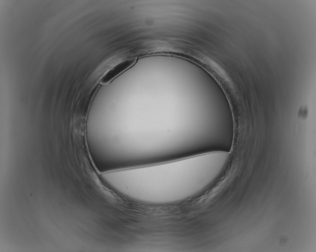 X0000093240793200709261529