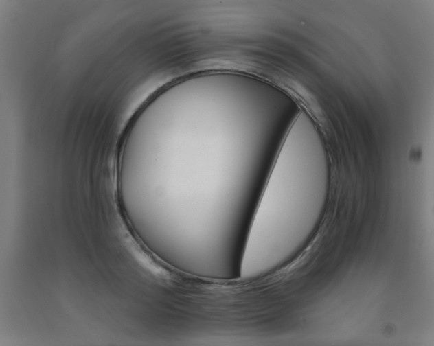 X0000093240796200709261529