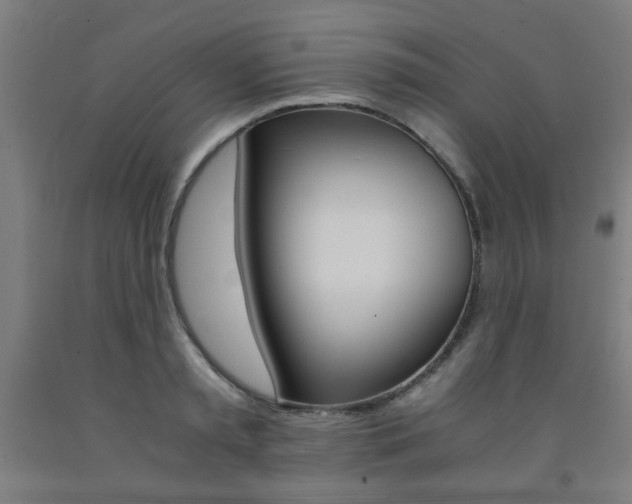 X0000093240797200709261529