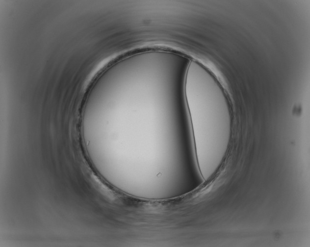 X0000093240799200709261529