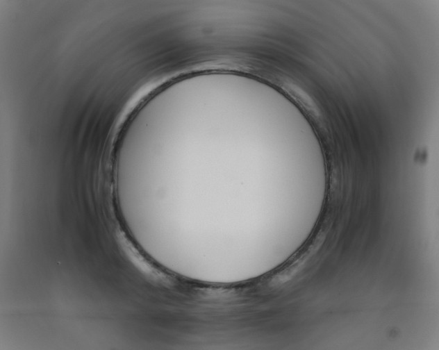 X0000093240800200709261529