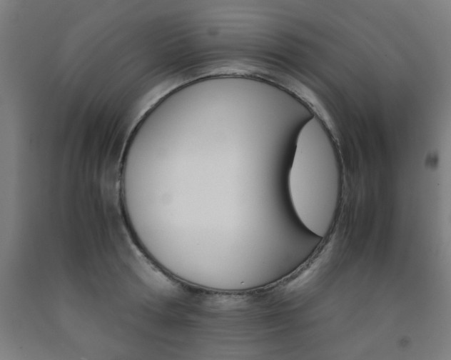 X0000093240802200709261529