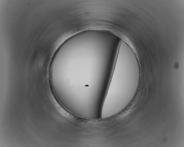 X0000093240803200709261529