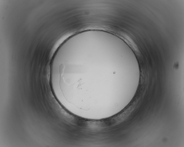 X0000093240804200709261529