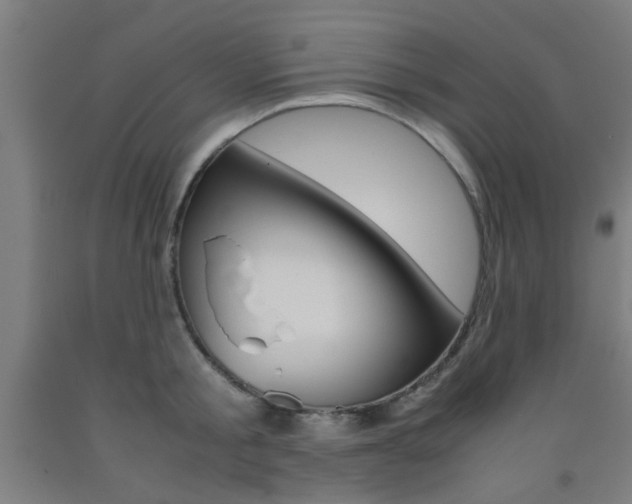 X0000093240805200709261529