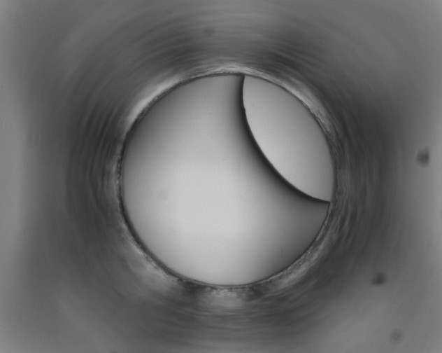X0000093240806200709261529