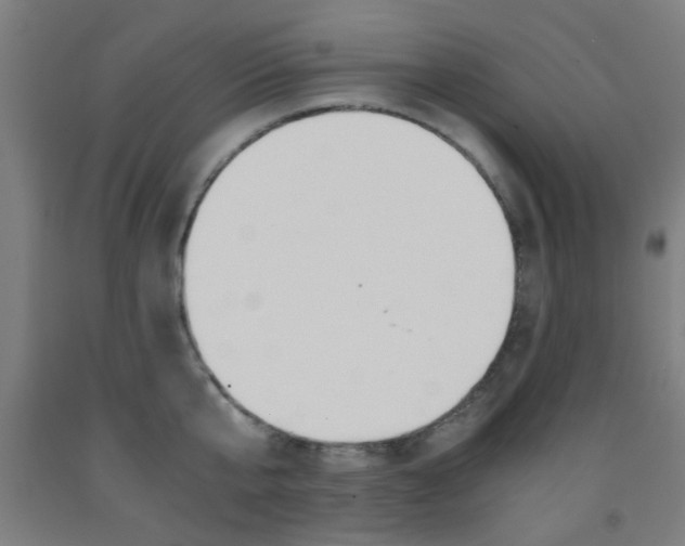 X0000093240807200709261529