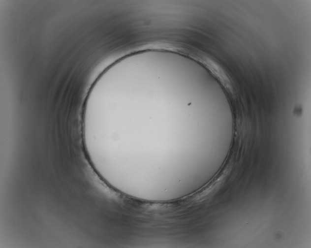 X0000093240808200709261529