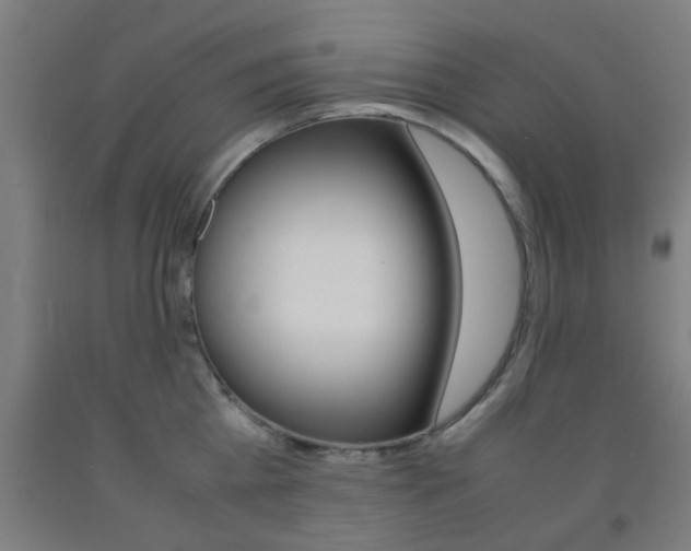 X0000093240809200709261529