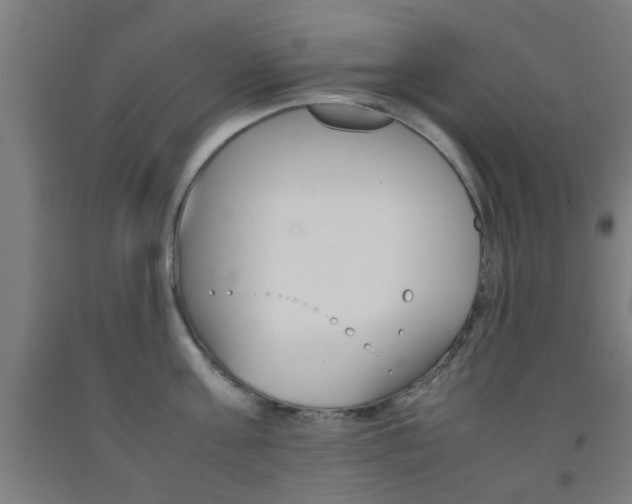 X0000093240811200709261529