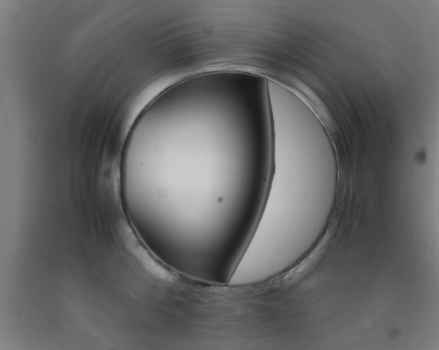 X0000093240812200709261529