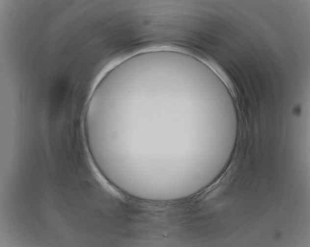 X0000093240813200709261529