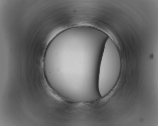 X0000093240814200709261529