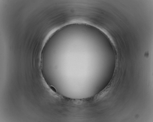 X0000093240815200709261529