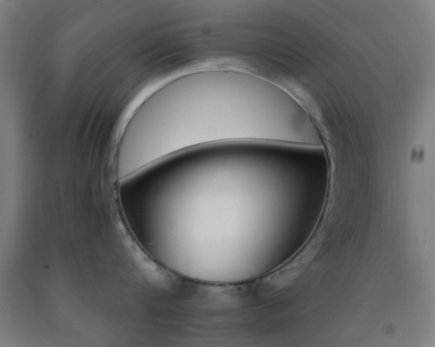 X0000093240816200709261529