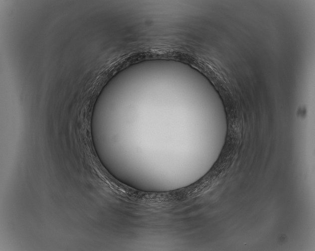 X0000093240817200709261528