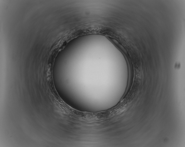 X0000093240818200709261528