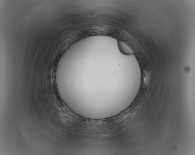 X0000093240819200709261528