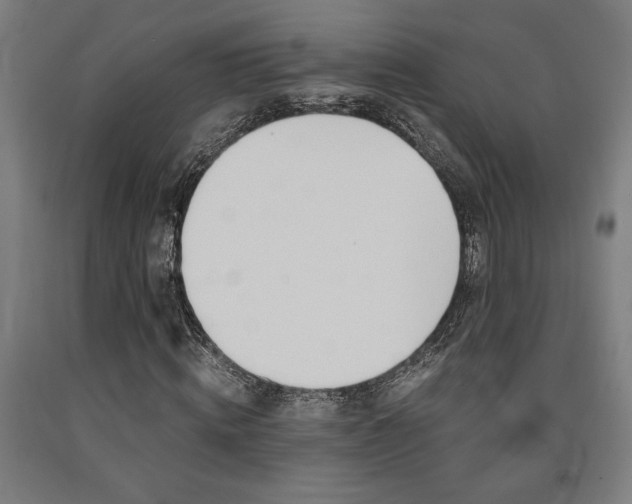 X0000093240820200709261528
