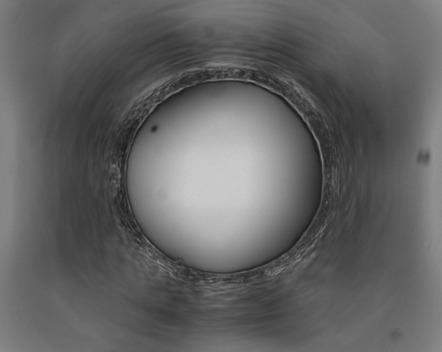 X0000093240821200709261528