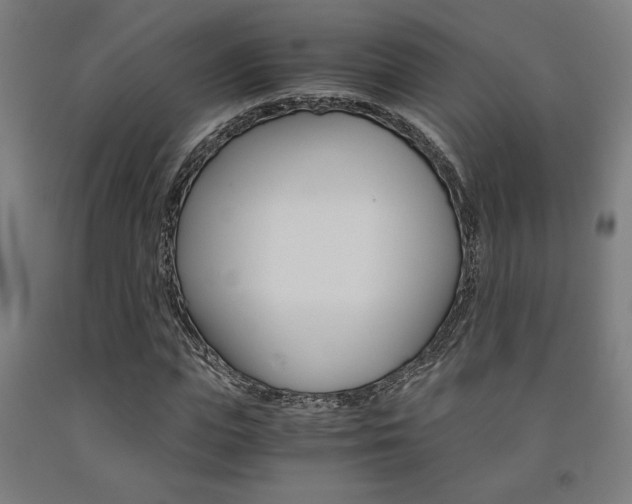X0000093240823200709261528