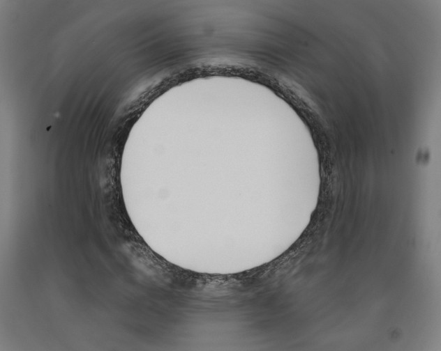 X0000093240824200709261528