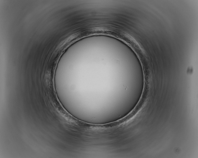 X0000093240825200709261528
