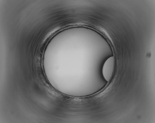 X0000093240827200709261528