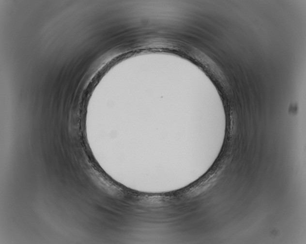 X0000093240828200709261528