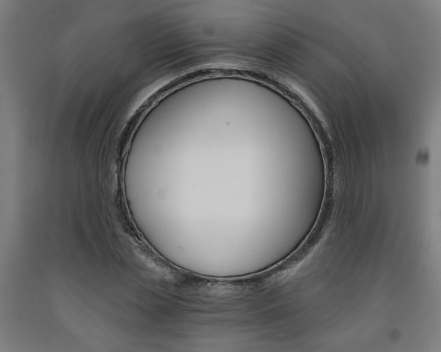 X0000093240829200709261528