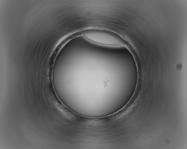 X0000093240830200709261528