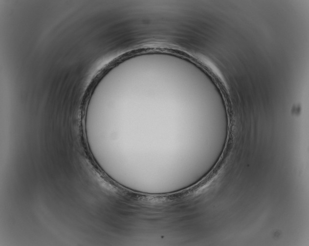 X0000093240831200709261528