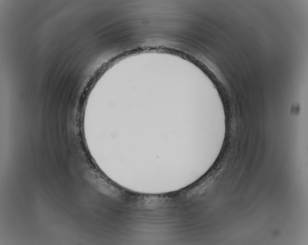 X0000093240832200709261528