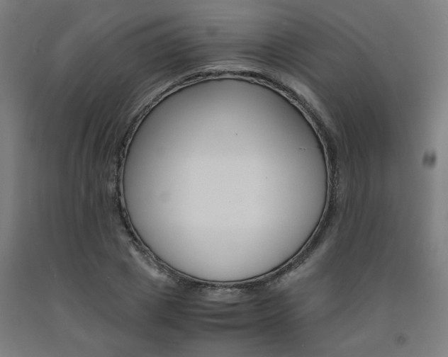 X0000093240833200709261528