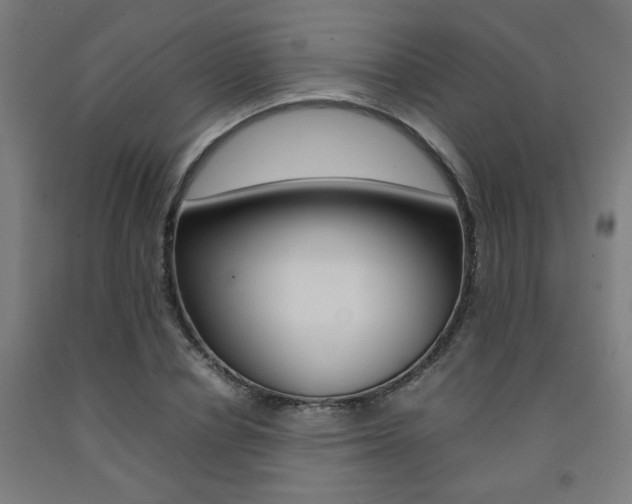 X0000093240834200709261528