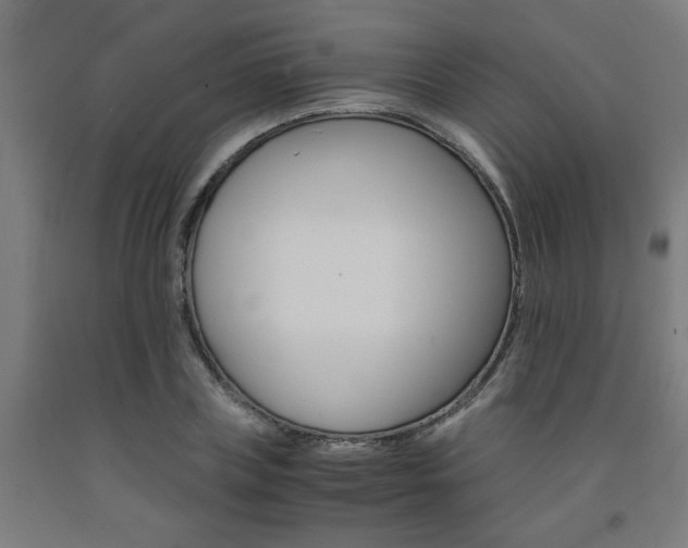 X0000093240835200709261528
