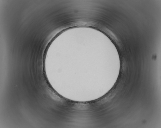 X0000093240836200709261528