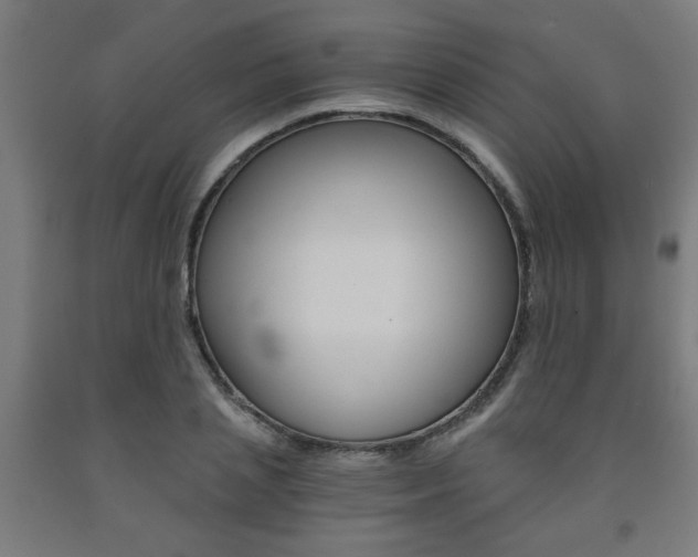 X0000093240837200709261528