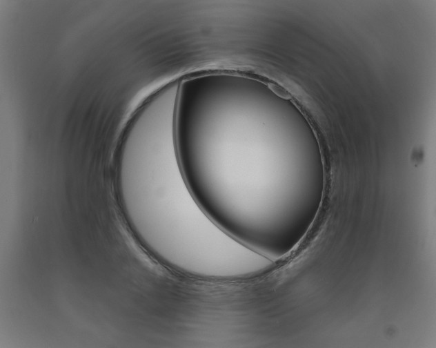 X0000093240838200709261528